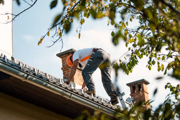 Best Commercial Roofing Services  in Paris, MO
